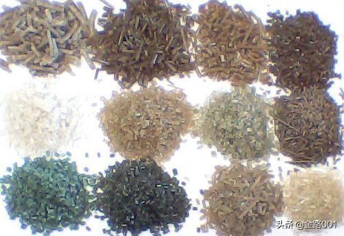 利潤(rùn)行業(yè)的隱形冠軍 揭秘泡沫造粒機(jī)的商業(yè)潛力